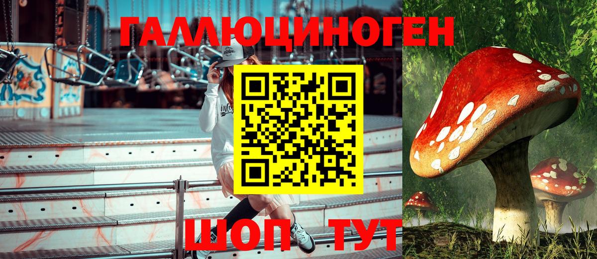 Галлюциногенные грибы Cubensis  Псилоцибиновые грибы Magic Shrooms  наркота  Вход с VPN  Городец 