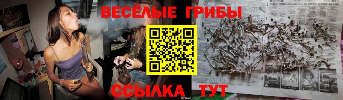 Псилоцибиновые грибы прущие грибы Городец